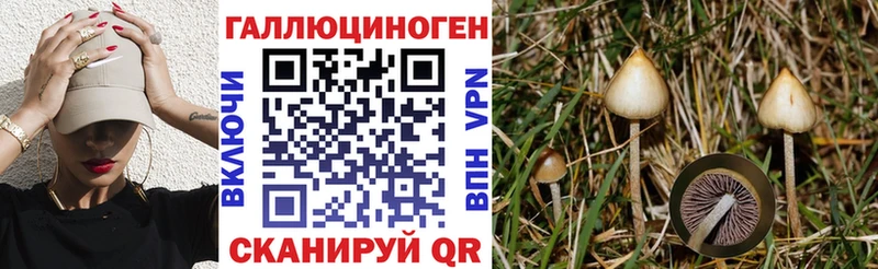 Псилоцибиновые грибы MAGIC MUSHROOMS Стародуб